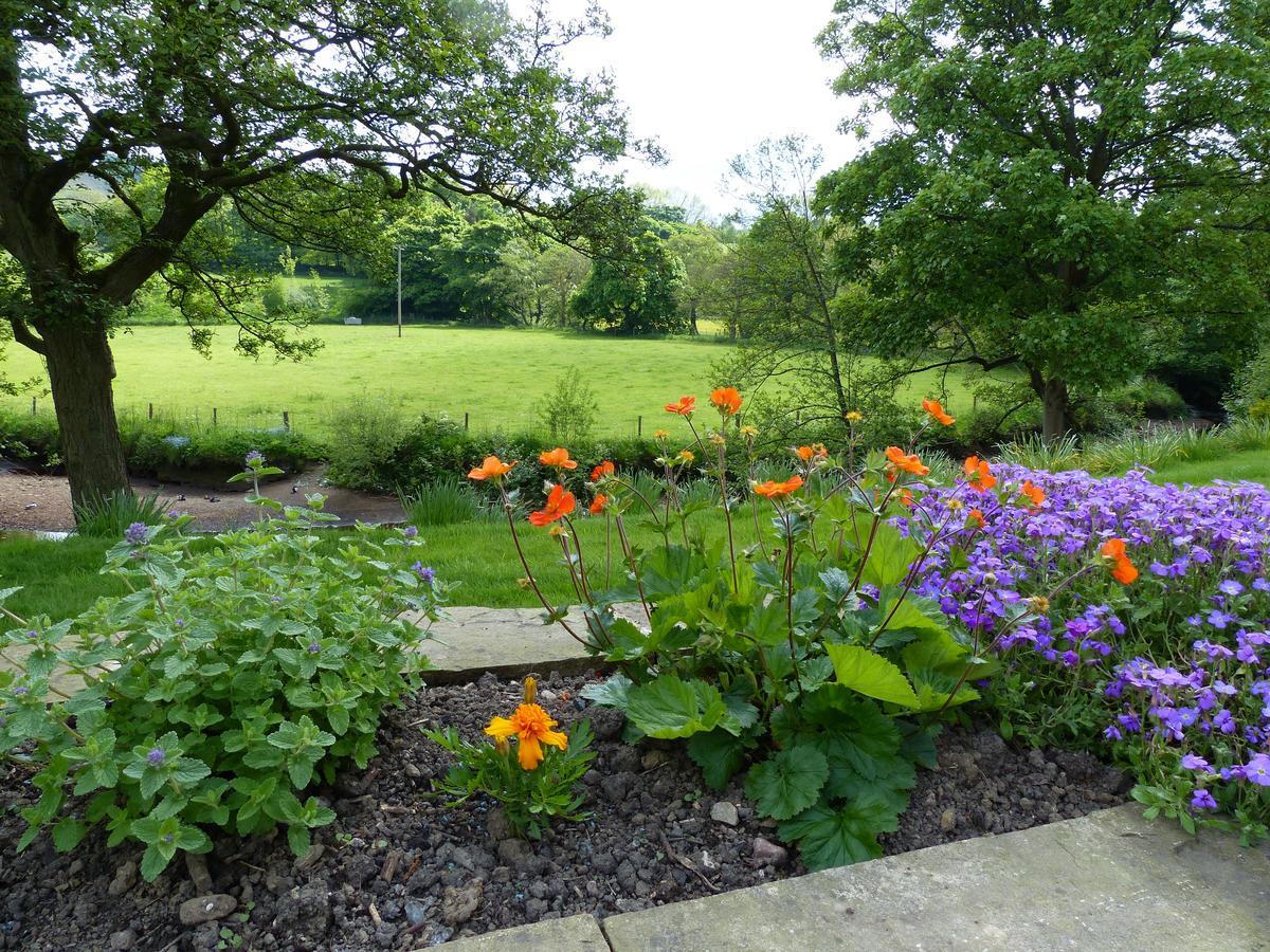 Millbrook Bed & Breakfast Penistone Bagian luar foto
