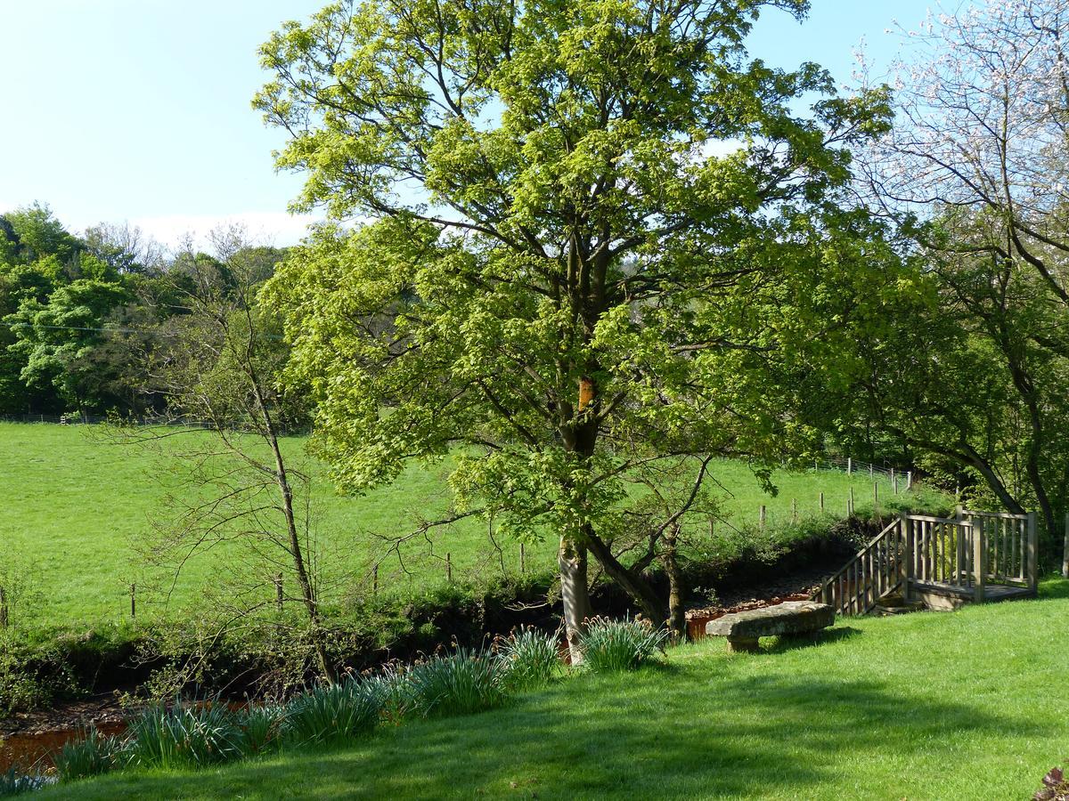 Millbrook Bed & Breakfast Penistone Bagian luar foto